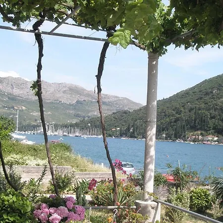 Guest house House Knezevic 3*